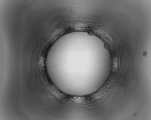 X0000097970667200804071100