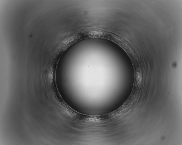 X0000097970668200804071100