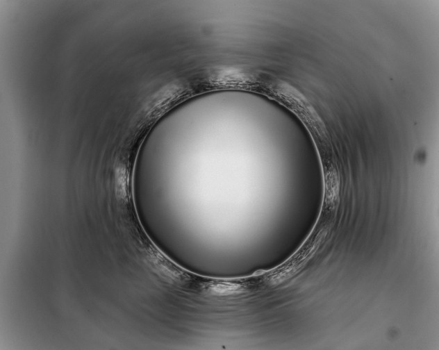 X0000097970669200804071100