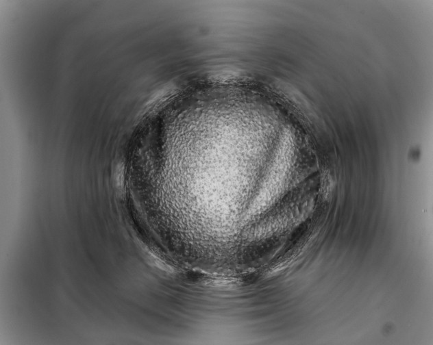 X0000097970670200804071100