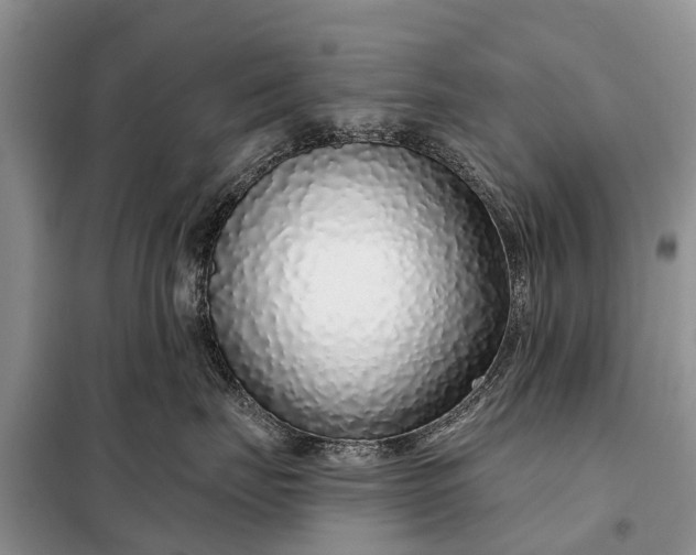 X0000097970671200804071100