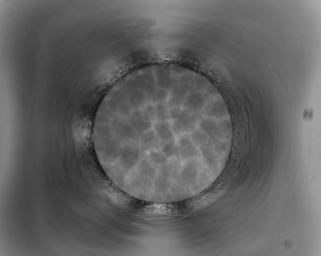 X0000097970672200804071100