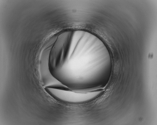 X0000097970673200804071059