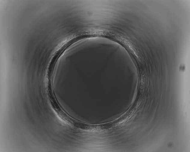 X0000097970674200804071059