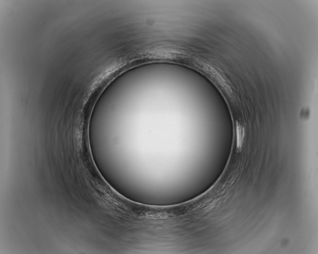 X0000097970675200804071059