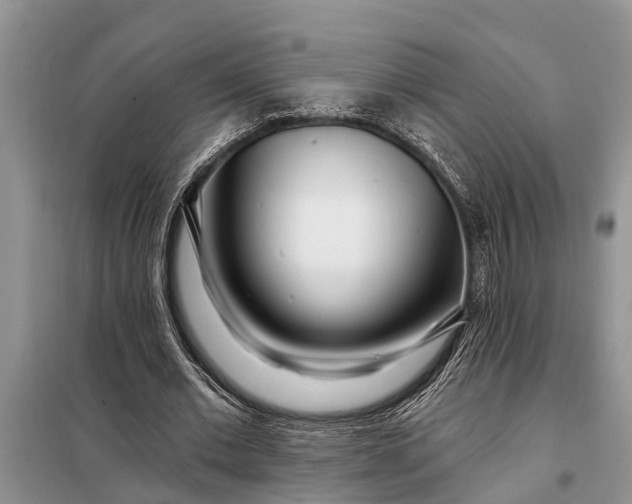 X0000097970677200804071059