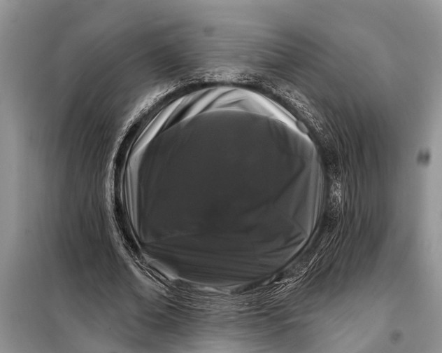 X0000097970678200804071059