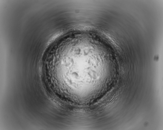 X0000097970679200804071059