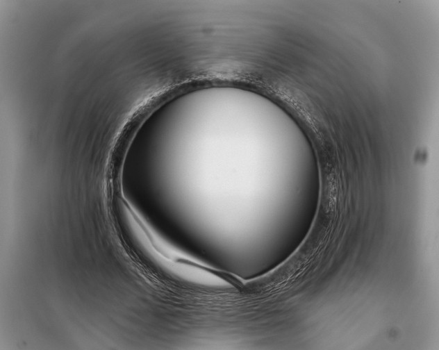 X0000097970680200804071059