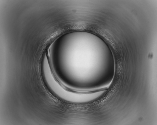 X0000097970681200804071059