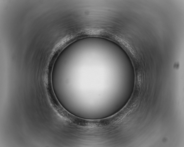 X0000097970682200804071059