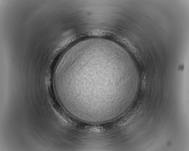 X0000097970683200804071059