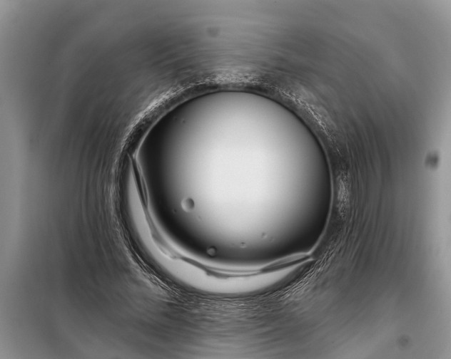 X0000097970684200804071059