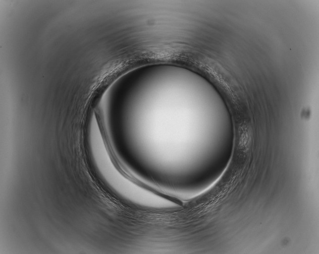 X0000097970685200804071059