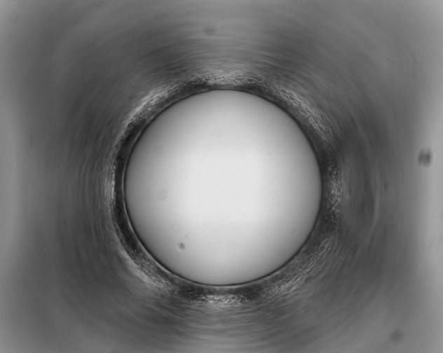 X0000097970686200804071059