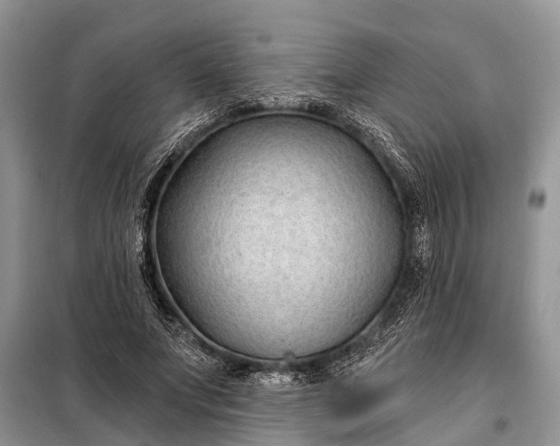 X0000097970687200804071059