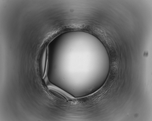 X0000097970688200804071059