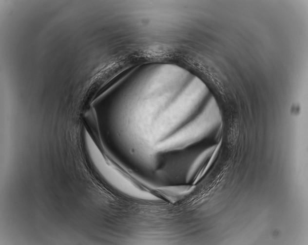 X0000097970689200804071059