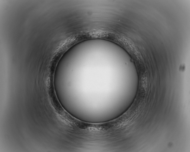 X0000097970690200804071059