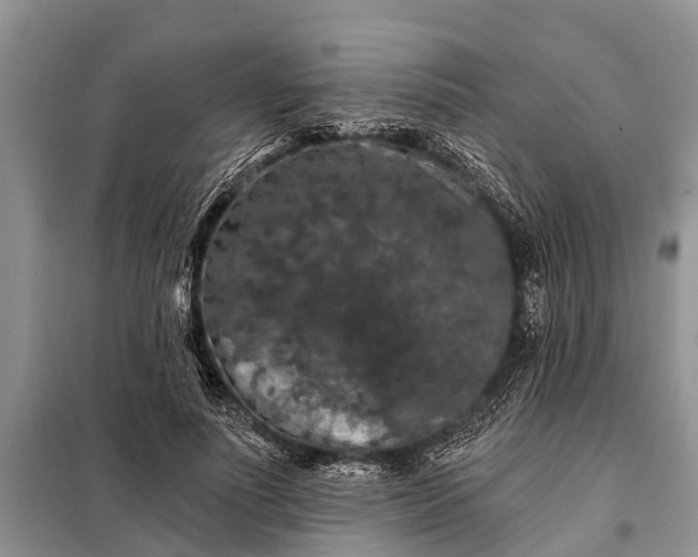 X0000097970691200804071059