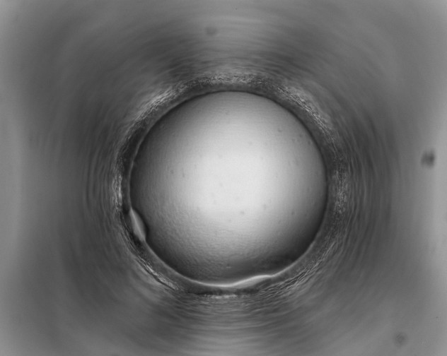 X0000097970692200804071059