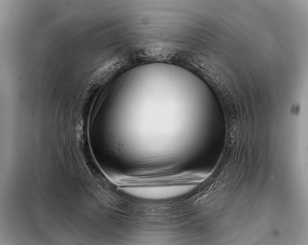 X0000097970693200804071059