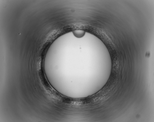 X0000097970694200804071059