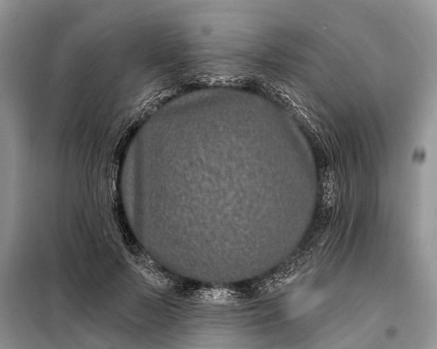 X0000097970695200804071059