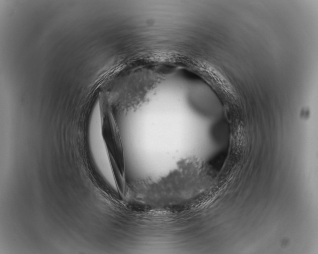 X0000097970696200804071059