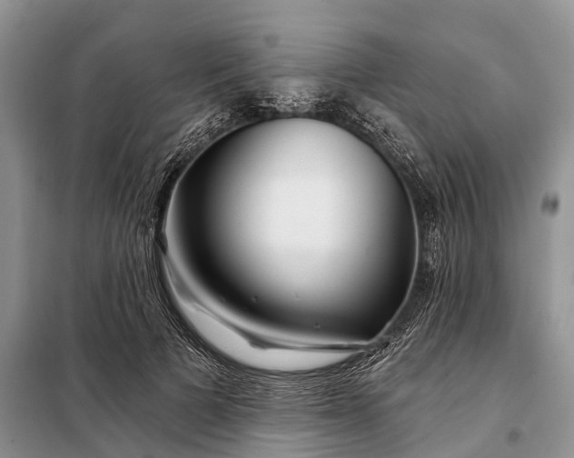 X0000097970697200804071059