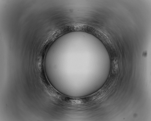 X0000097970698200804071059