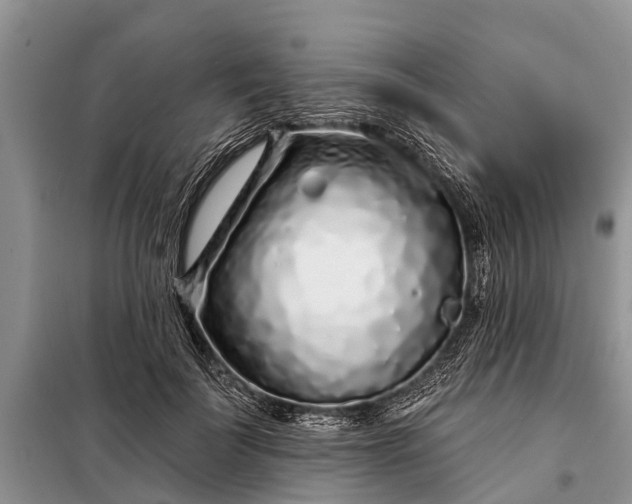 X0000097970699200804071059