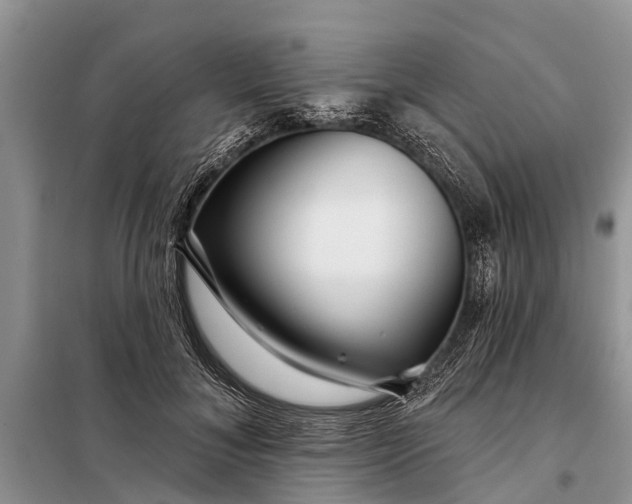 X0000097970700200804071059