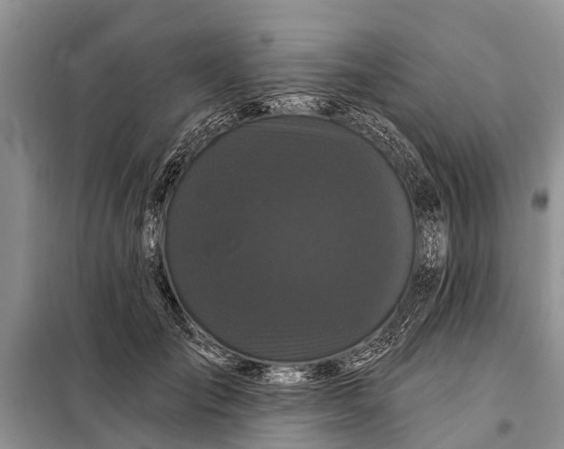 X0000097970701200804071059