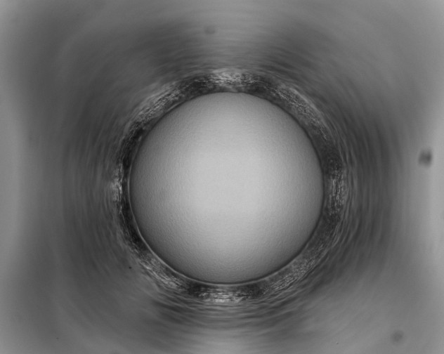 X0000097970702200804071059