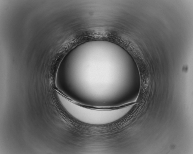 X0000097970704200804071059