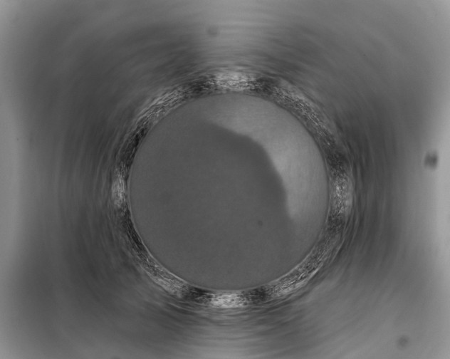 X0000097970705200804071059