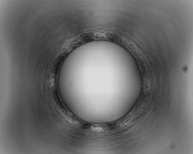 X0000097970706200804071059