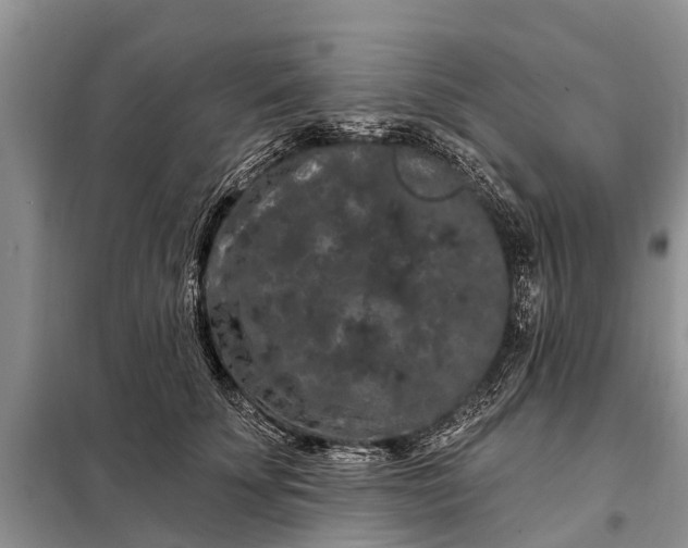 X0000097970707200804071059