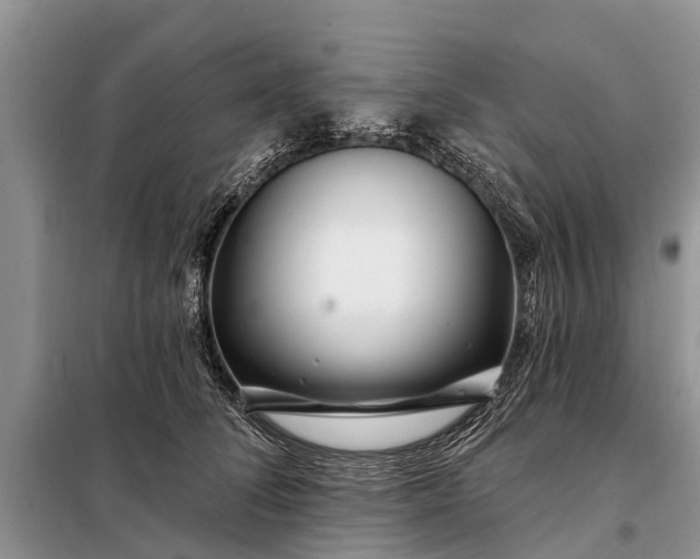 X0000097970708200804071059