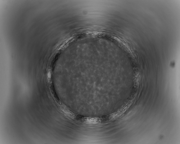 X0000097970709200804071059