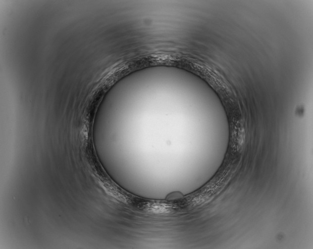 X0000097970710200804071059