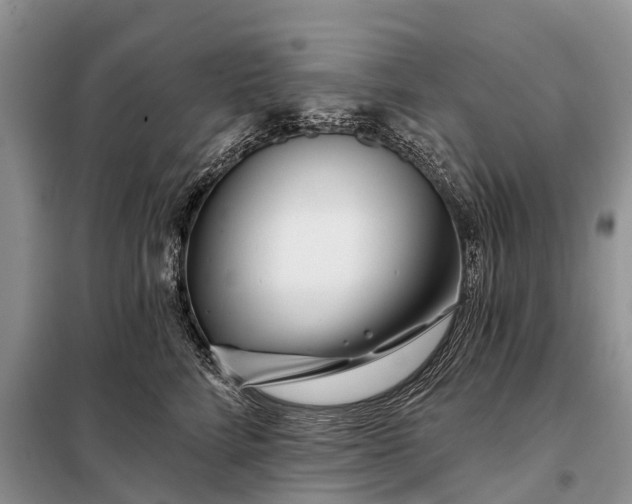 X0000097970712200804071058