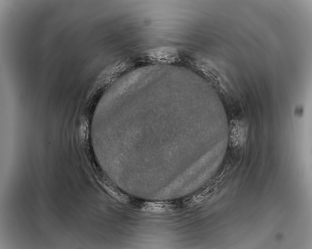 X0000097970713200804071058