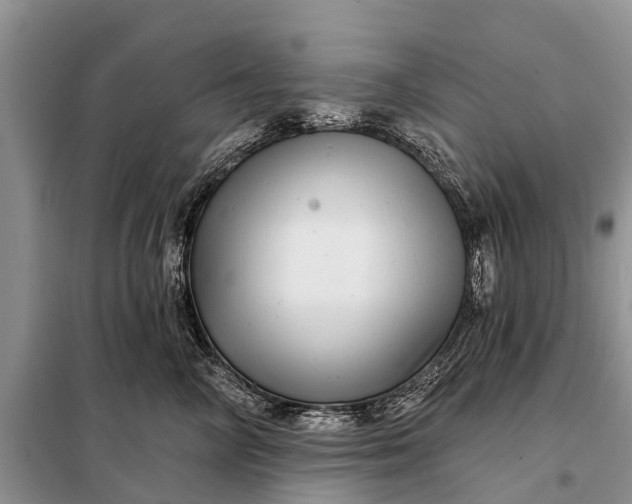 X0000097970714200804071058