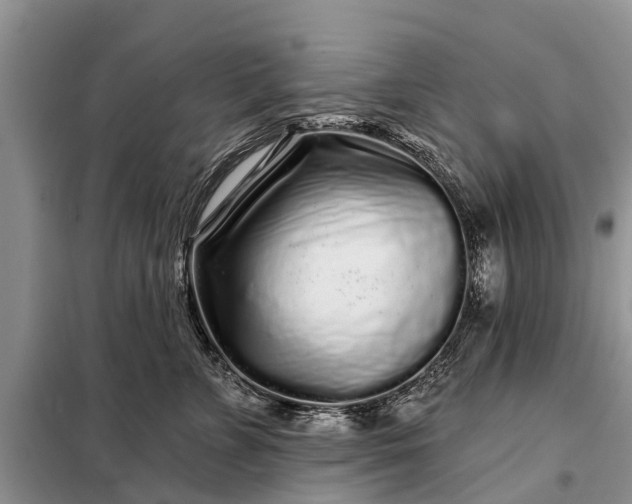 X0000097970715200804071058