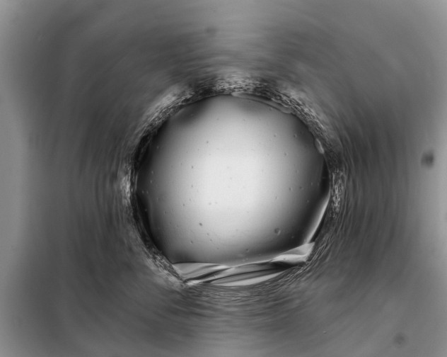 X0000097970716200804071058