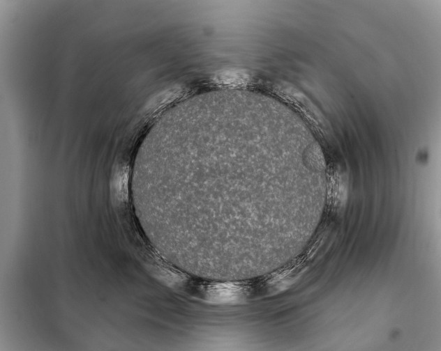 X0000097970717200804071058