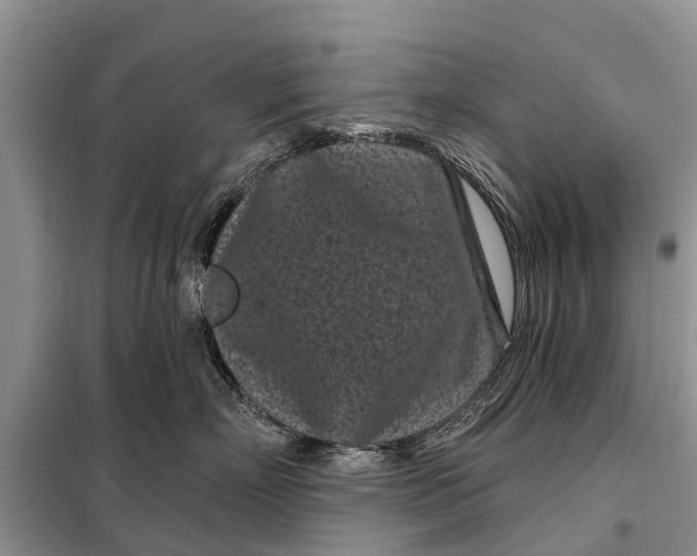 X0000097970718200804071058