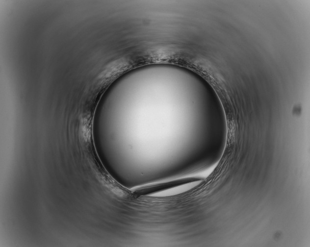 X0000097970719200804071058